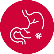Gastrointestinal Cancers icon